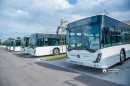 Uj_csuklos_buszok_atadasa-0044.JPG