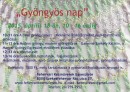 gyöngyös nap 2015.jpg