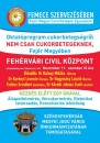 FEMECE_A3 plakát Székesfehérvár.jpg