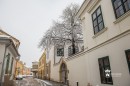 Szekesfehervar_hoban-0123.jpg
