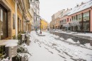 Szekesfehervar_hoban-0163.jpg