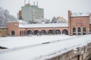 Szekesfehervar_hoban-0237.jpg