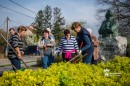 Bory tér tavaszi nagytakarítás