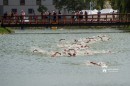 Triatlon_Europa_Kupa-0085.jpg