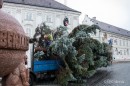 Megérkezett a városi karácsonyfa