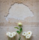 Trianoni megemlékezés és konferencia