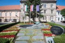 Városi virágkörkép Harang II. VH emlékmű