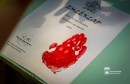 Napraforgó egészségfejlesztő tábor