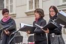 Zene_Vilagnapja_Seta_koncert-0136.JPG