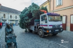 Város fenyőfájának érkezése
