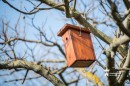Madárodúk kihelyezése a központi parkba