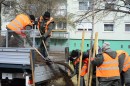 Faültetés a Vízivárosban