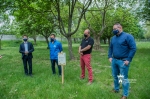 Méhlegelő a Tóvárosi sétányon- és a sétány felújítása