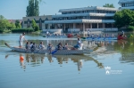Sulisárkány