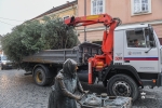 Városi karácsonyfa érkezése