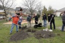 Deák Lajosné fát ültet a Nefelejcs utcai óvodában a szülőkkel 2013.04.05. 00002.JPG