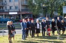 Nema_koszoruzas_Halesz_Parkban-0167.jpg