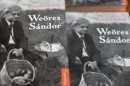 Weores_Sandor_100-0444.jpg