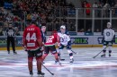 arena_dsc_9694.jpg