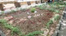 Mezogazdasagi_iskola_elokerti_resz-0004.jpg