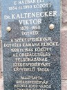 Dr.Kaltenecker_Viktor_emlektabla-142407.jpg
