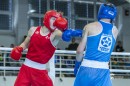 Ifi_Junior_box_bajnoksag-0606.jpg