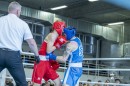 Ifi_Junior_box_bajnoksag-0621.jpg