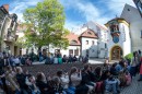 korusok_dsc_5988.jpg