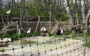 sosto vadvedelmi 01.jpg