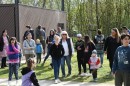 sosto vadvedelmi 07.jpg