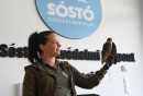 sosto vadvedelmi 19.jpg