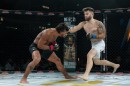 hex_mma_asc_0824.jpg