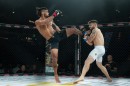 hex_mma_asc_0828.jpg