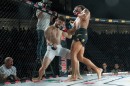 hex_mma_asc_0896.jpg