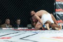 hex_mma_asc_0957.jpg