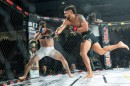 hex_mma_asc_1060.jpg