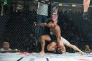hex_mma_asc_1116.jpg