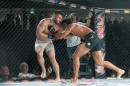 hex_mma_asc_1123.jpg