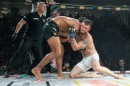 hex_mma_asc_1131.jpg