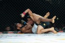 hex_mma_asc_1200.jpg