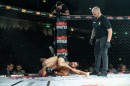 hex_mma_asc_1206.jpg