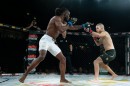 hex_mma_asc_1243.jpg