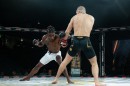 hex_mma_asc_1293.jpg