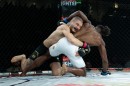 hex_mma_asc_1301.jpg