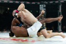 hex_mma_asc_1347.jpg