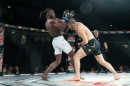 hex_mma_asc_1381.jpg