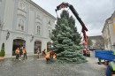 A város karácsonyfájának érkezése