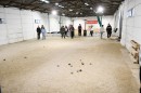 petanque 20.jpg