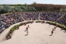 floralia_57.jpg