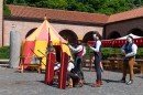 nema_dsc_0834.jpg